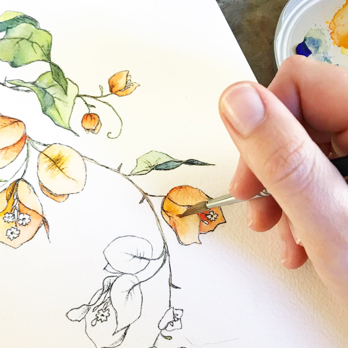 Art Prints - Flowers