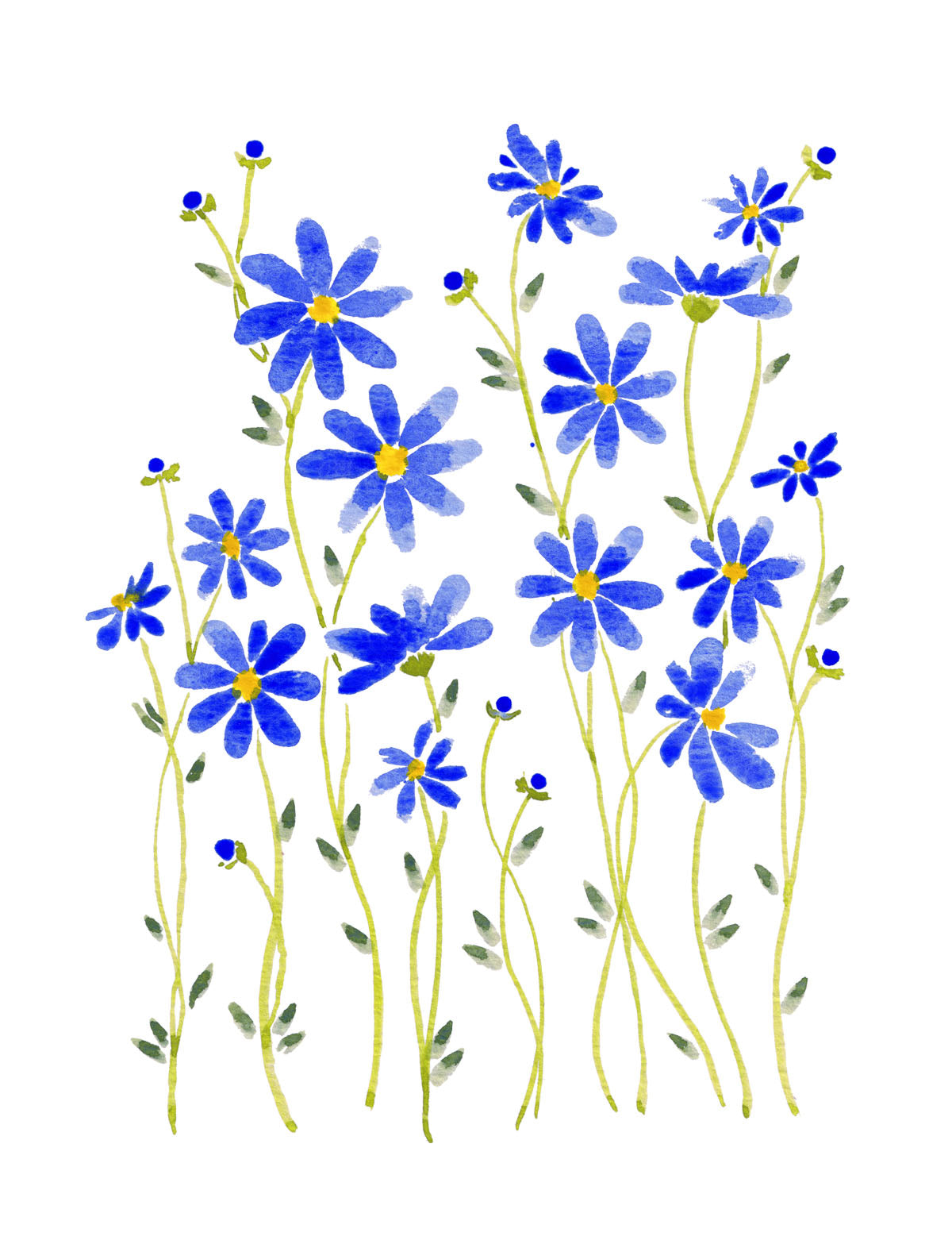 Art Print - Blue Daisies