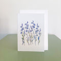 Australian greeting cards, handmade greeting cards, illustrated greeting cards, botanical greeting cards, floral greeting cards, eco friendly greeting cards, recycled paper greeting cards, unique greeting cards Australia, artist designed cards, blank greeting cards Australia