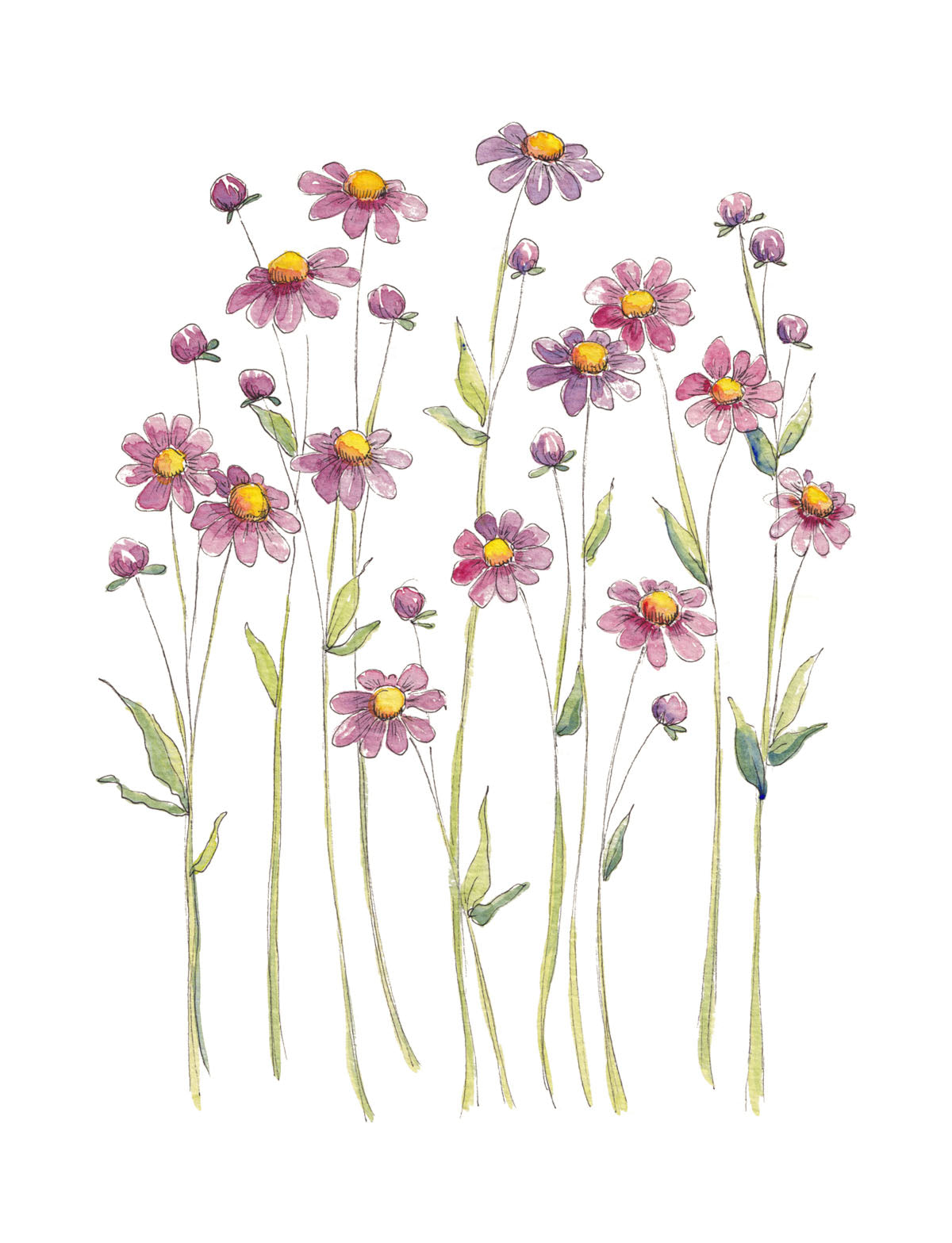 Art Print - Pretty Button Daisies