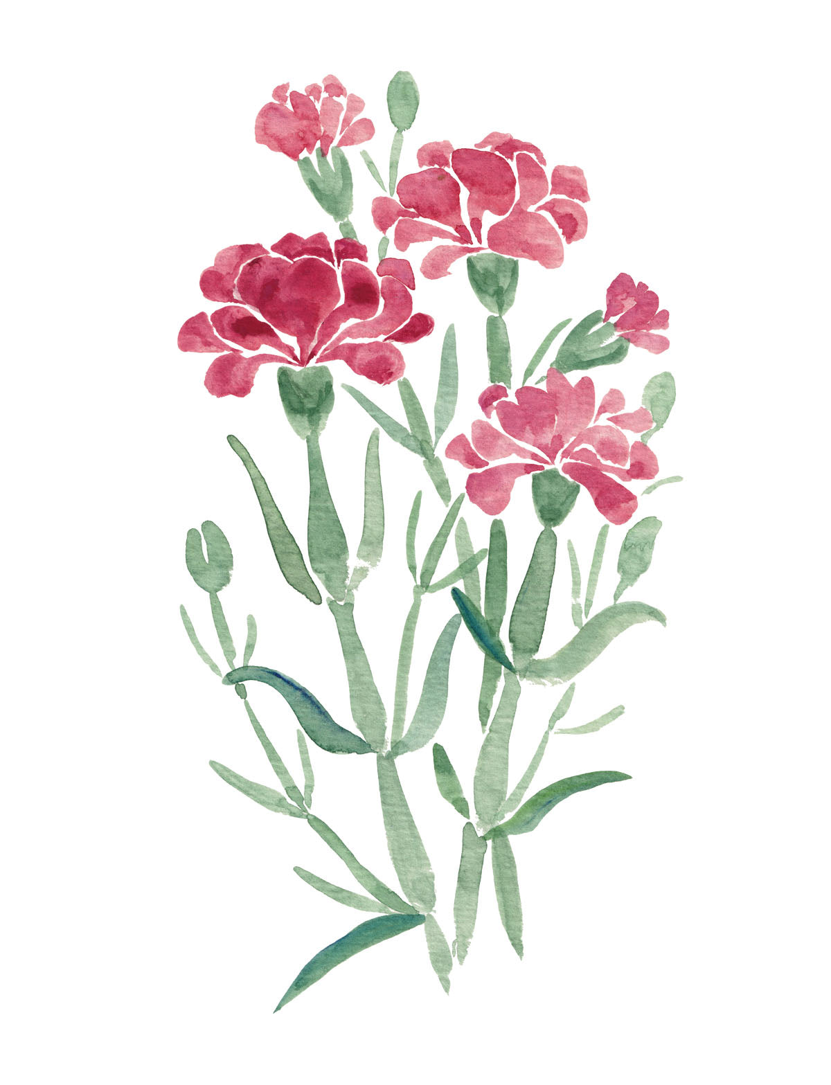 Art Print - Carnations in Gouache