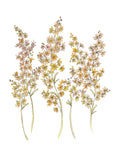 Art Print - Golden Christmas Bush