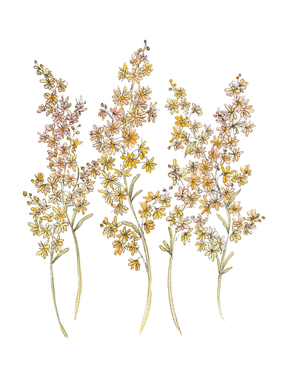 Art Print - Golden Christmas Bush