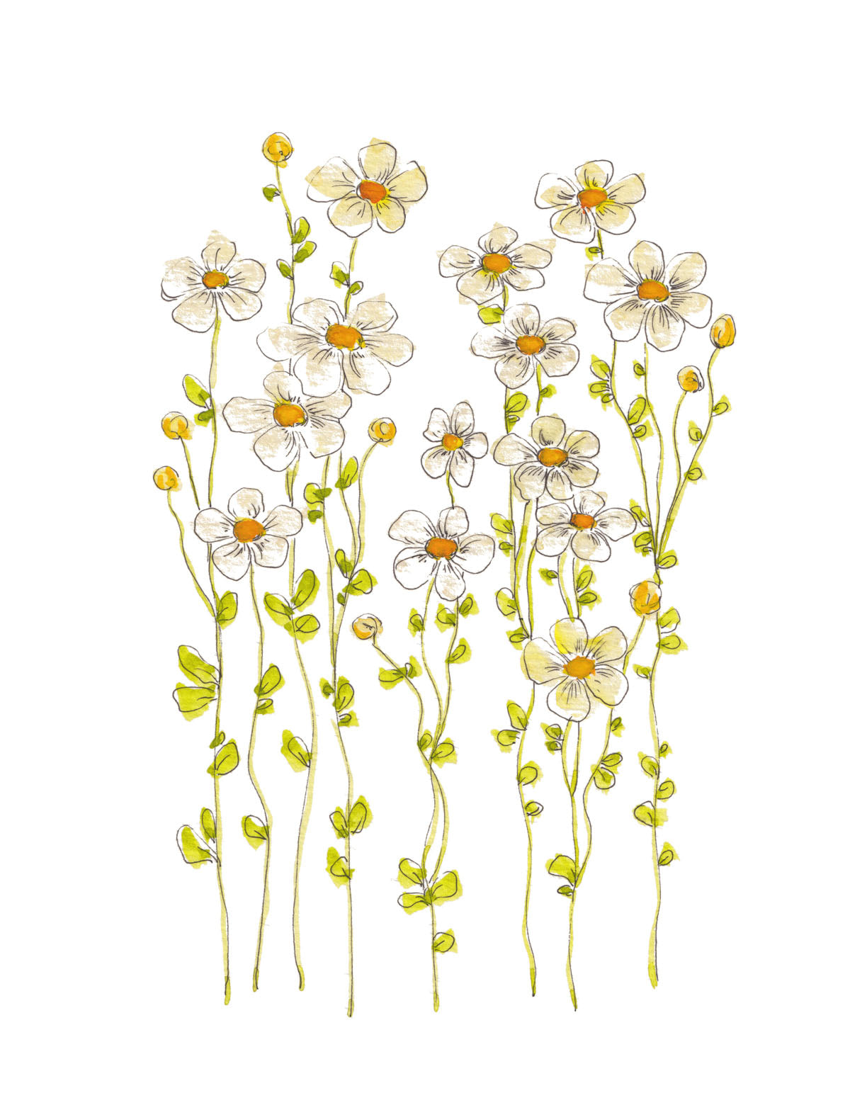 Art Print - Dainty White Floral