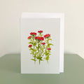 Aster in Red