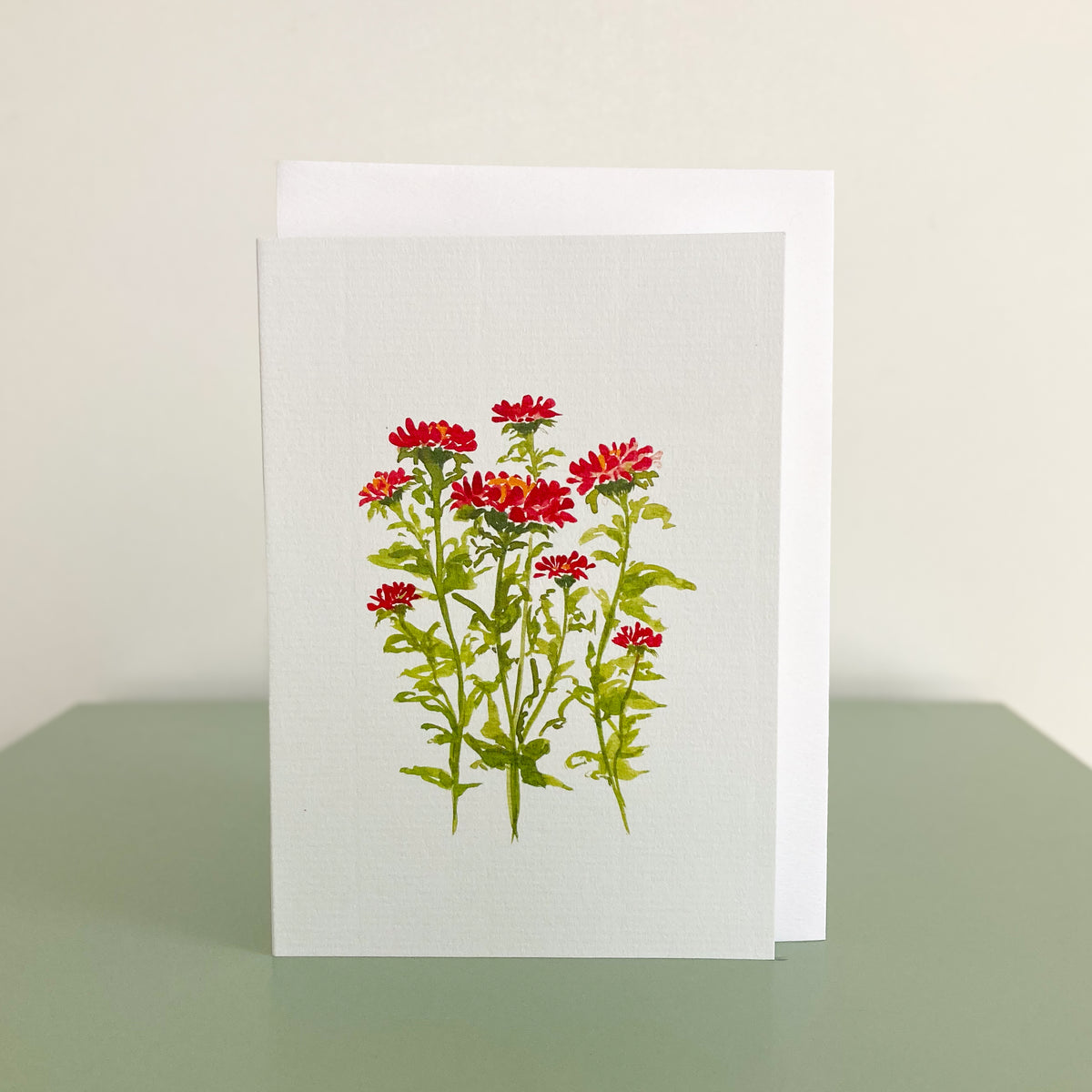 Aster in Red