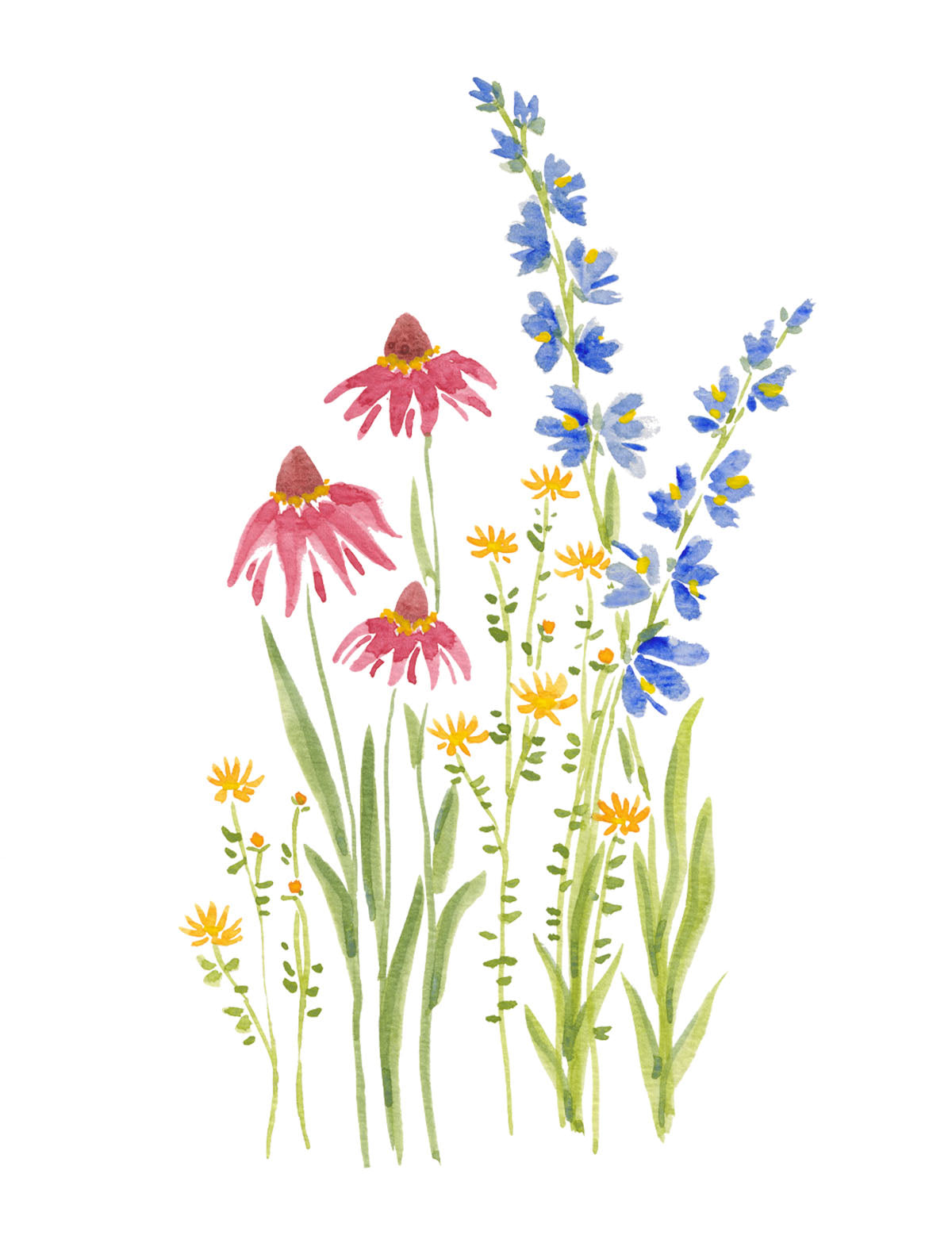 Art Print - Mixed Blooms