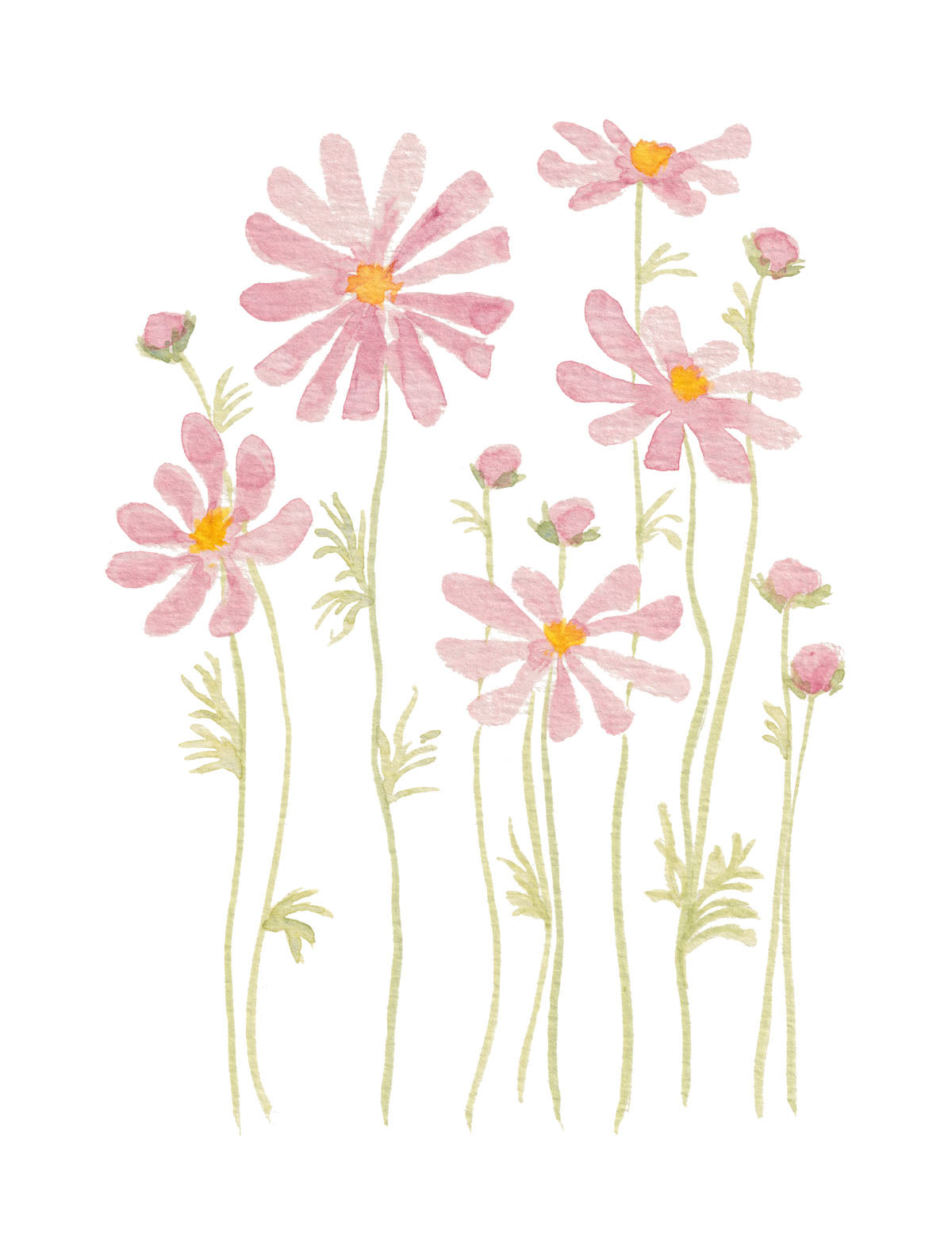 Art Print - Pink Lemonade Daisies