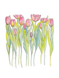 Art Print - Pink Tulips