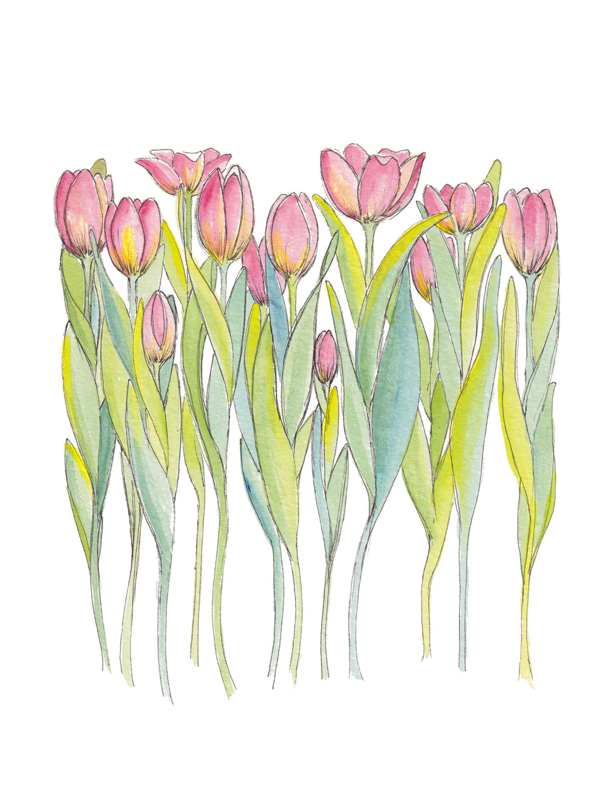 Art Print - Pink Tulips