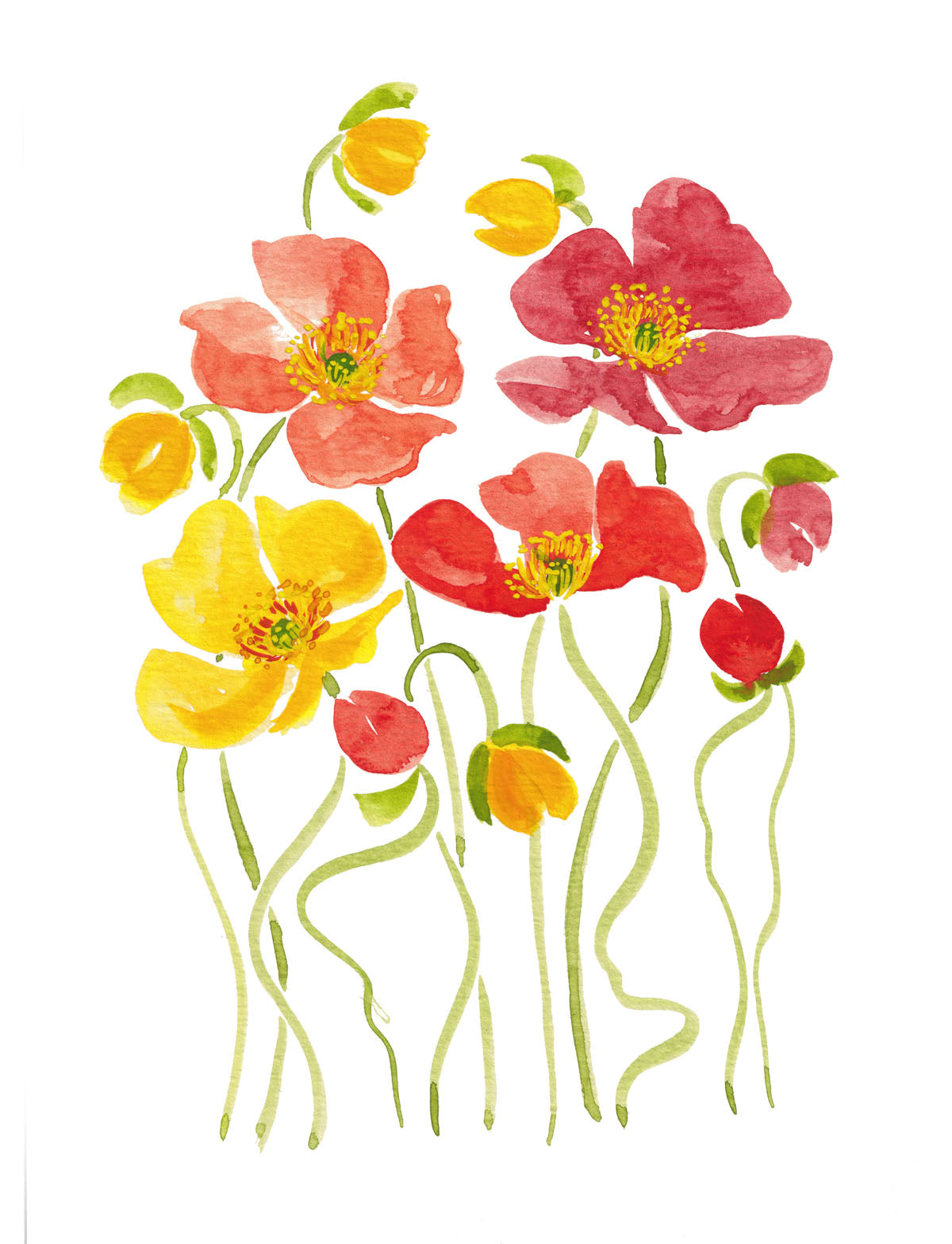 Art Print - Rainbow Poppies