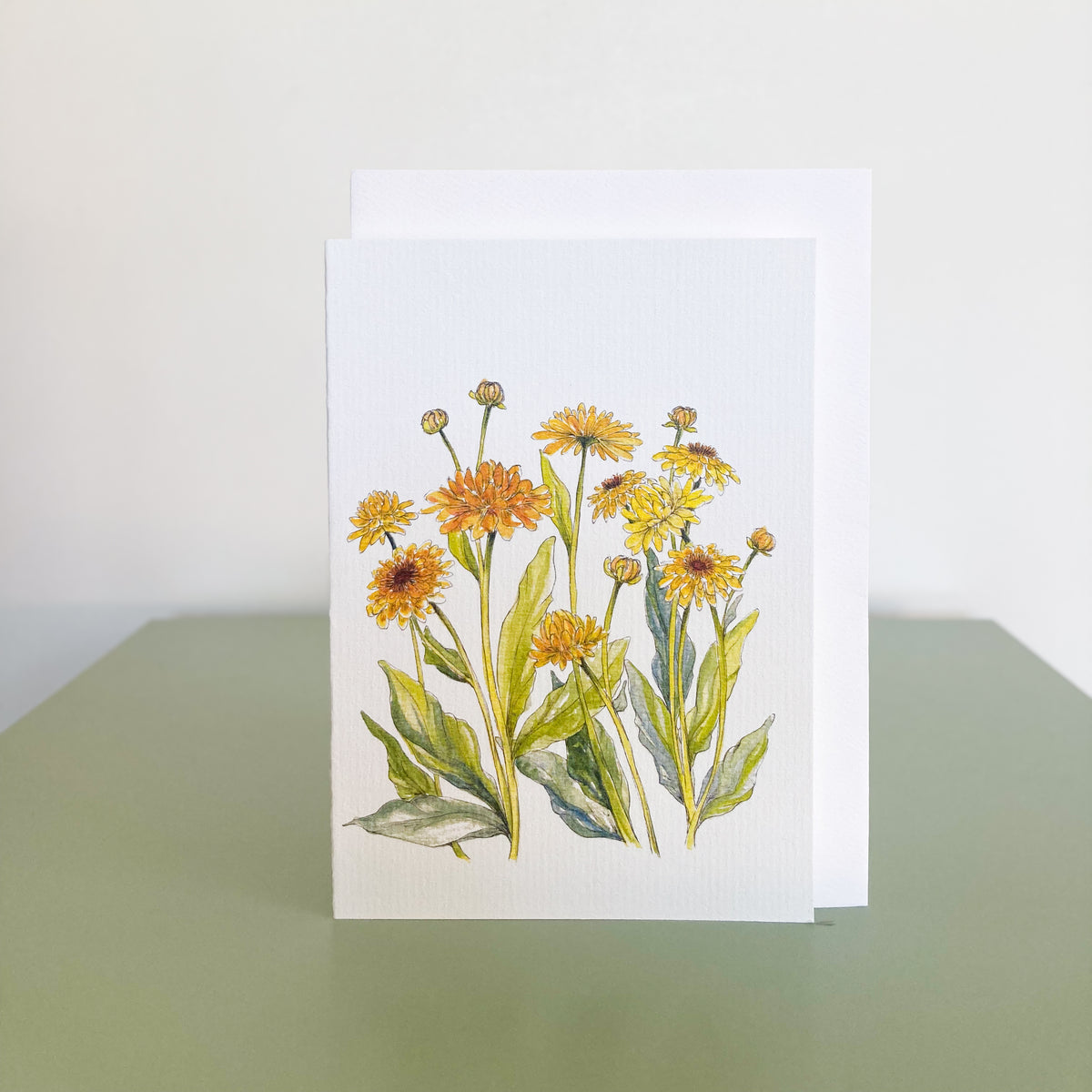 Australian greeting cards, handmade greeting cards, illustrated greeting cards, botanical greeting cards, floral greeting cards, eco friendly greeting cards, recycled paper greeting cards, unique greeting cards Australia, artist designed cards, blank greeting cards Australia