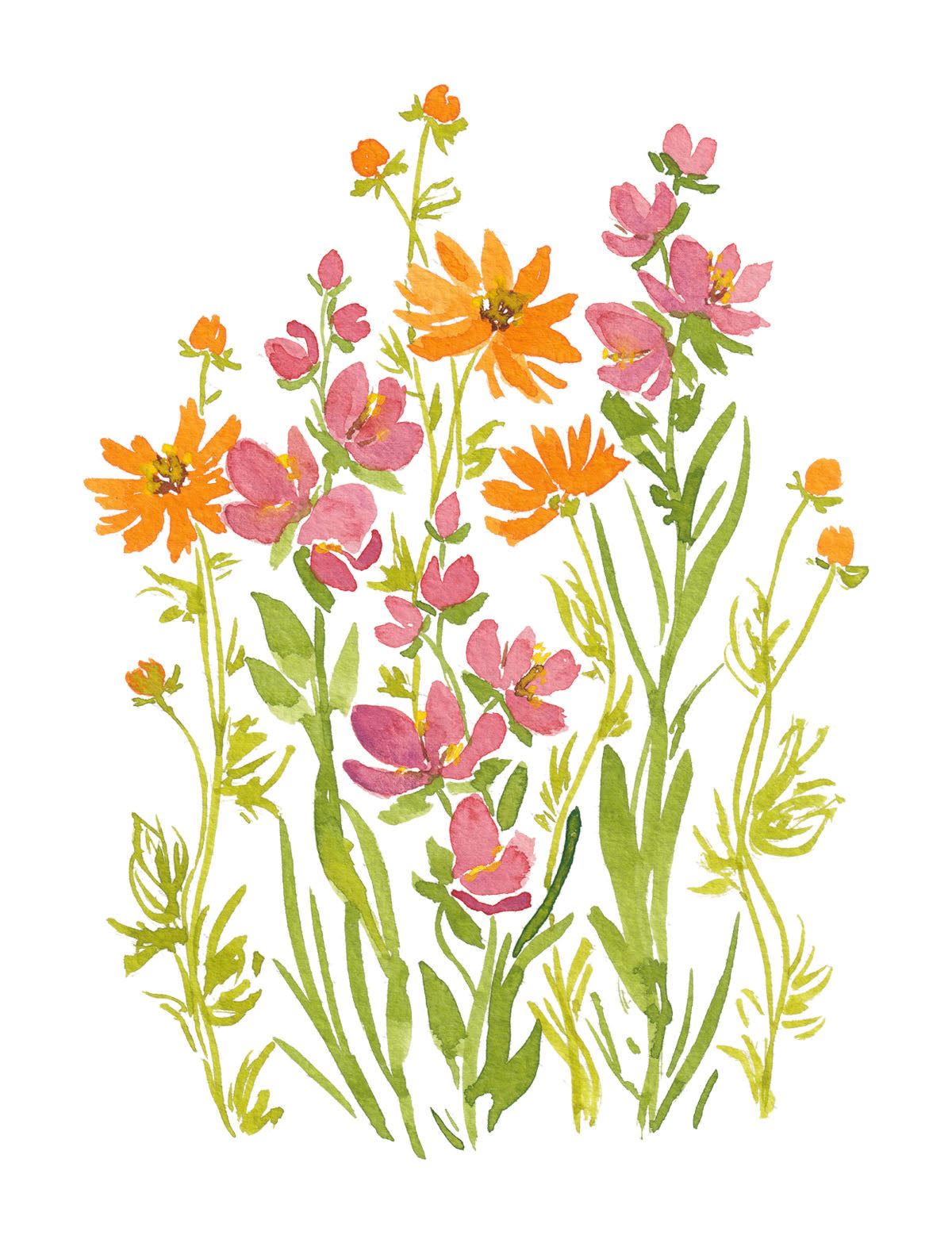 Art Print - Sunset Blooms