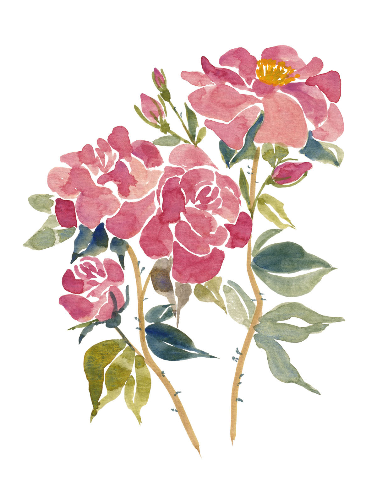 Art Print - Watercolour Garden Roses